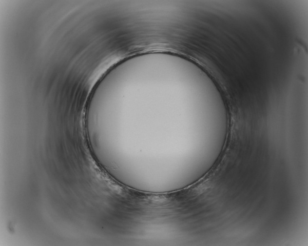 X0000103421190200809261659