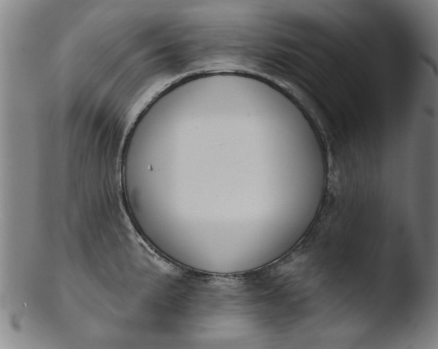 X0000103421191200809261659