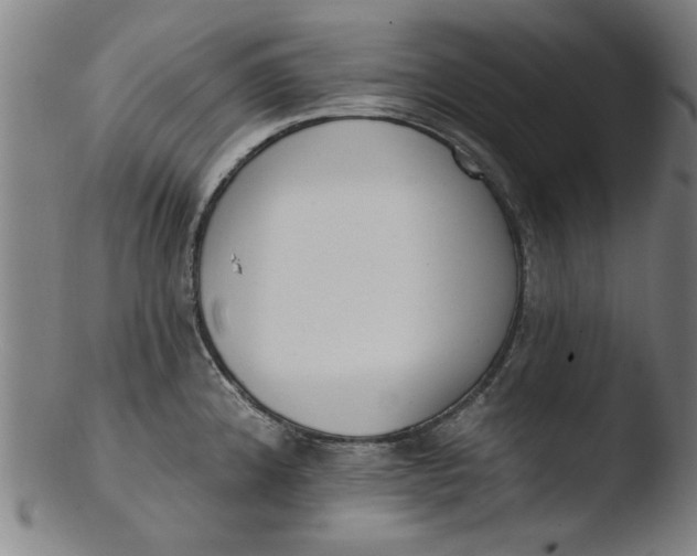 X0000103421192200809261659