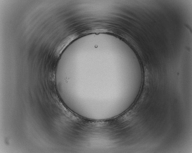 X0000103421193200809261659