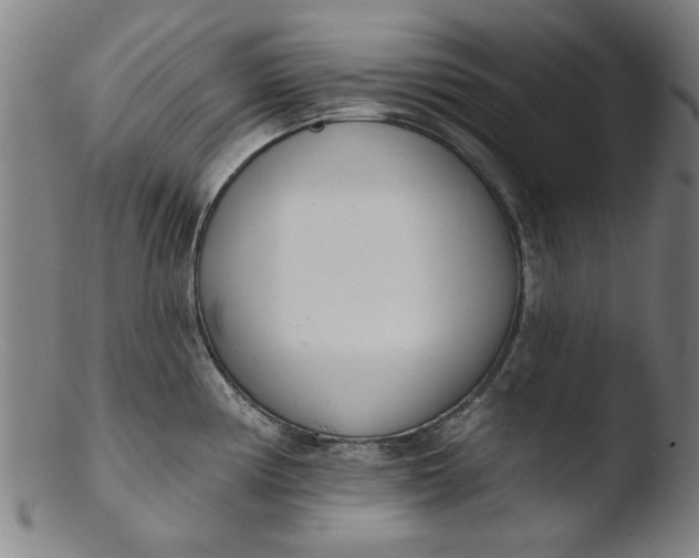 X0000103421194200809261659