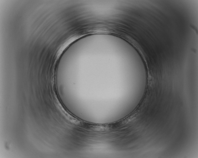 X0000103421195200809261659