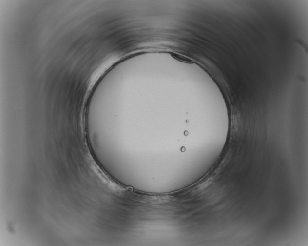 X0000103421196200809261659