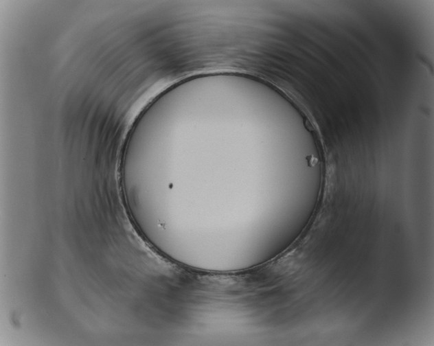 X0000103421197200809261659