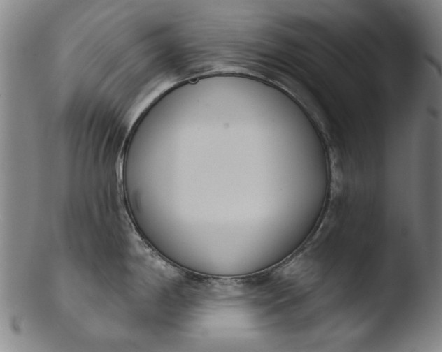 X0000103421198200809261659