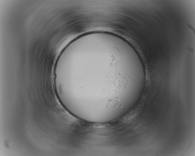 X0000103421199200809261659