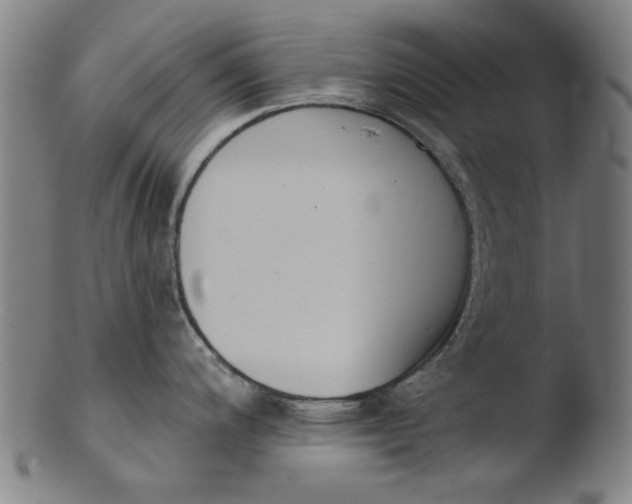 X0000103421200200809261659