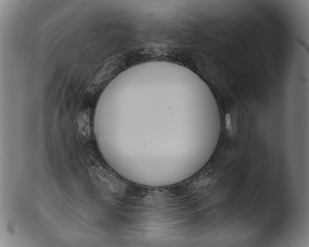X0000103421203200809261659