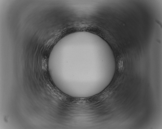 X0000103421204200809261659