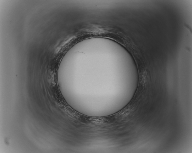 X0000103421205200809261659
