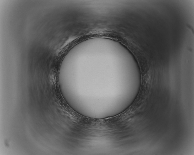 X0000103421206200809261659