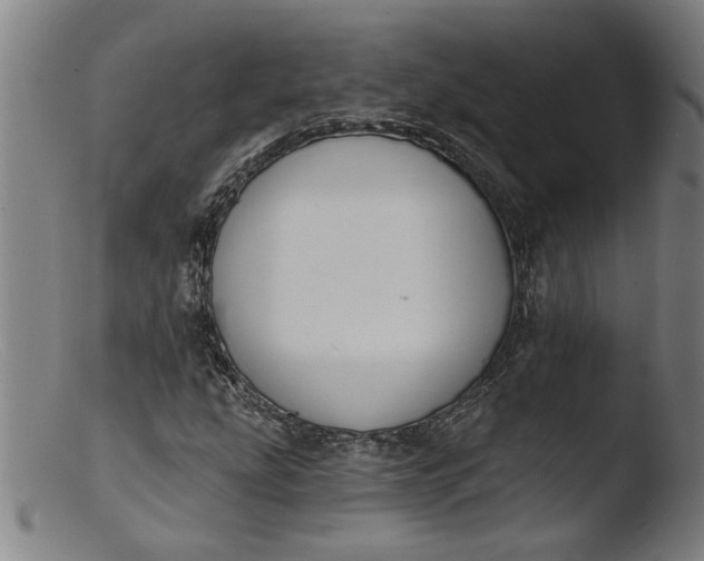 X0000103421207200809261659