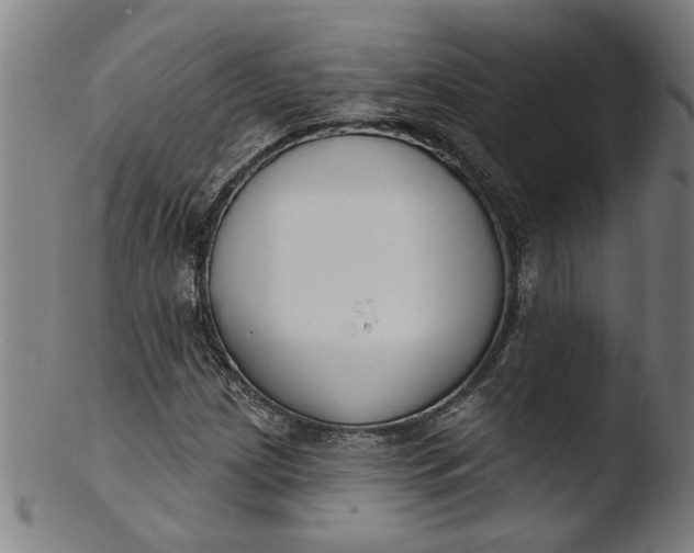 X0000103421209200809261659