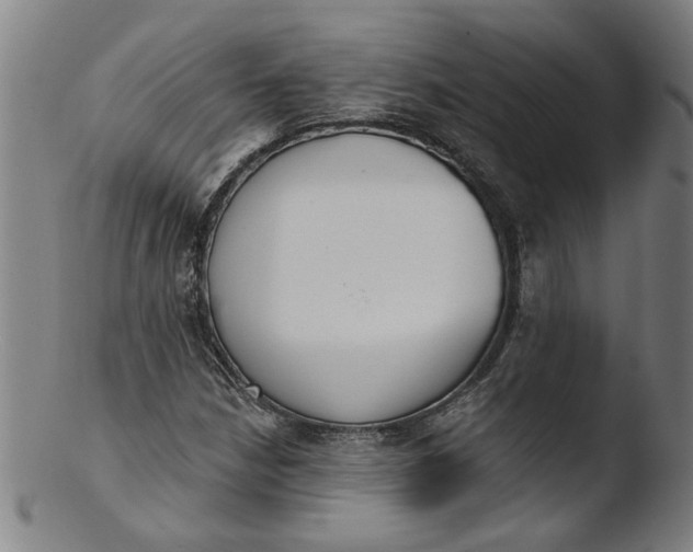 X0000103421210200809261659