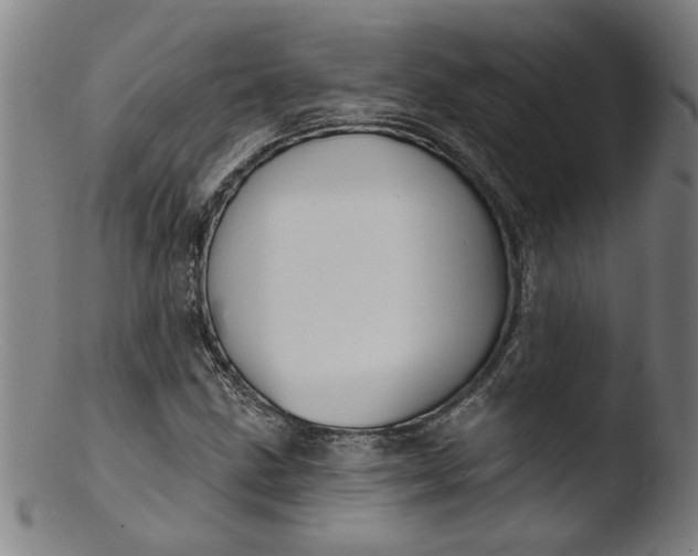 X0000103421211200809261659