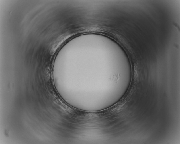 X0000103421212200809261659