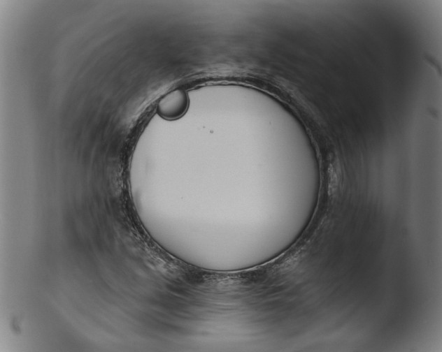 X0000103421213200809261659