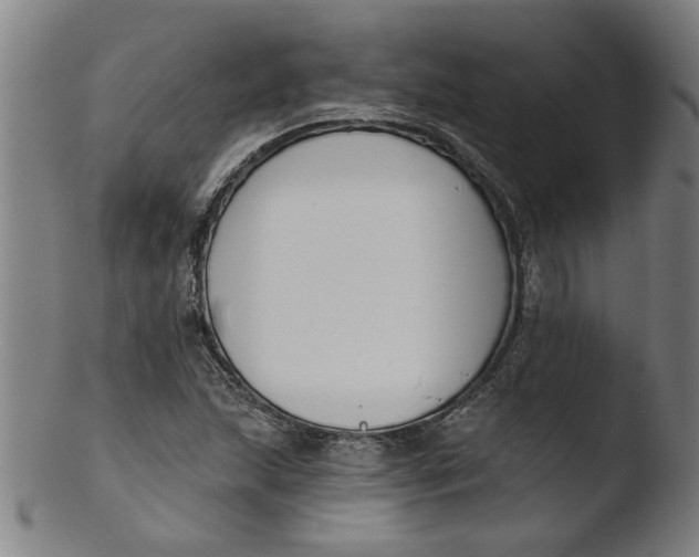 X0000103421215200809261659