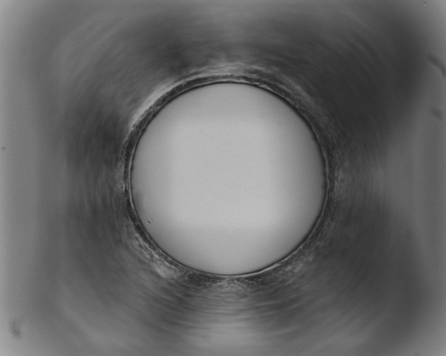 X0000103421216200809261659