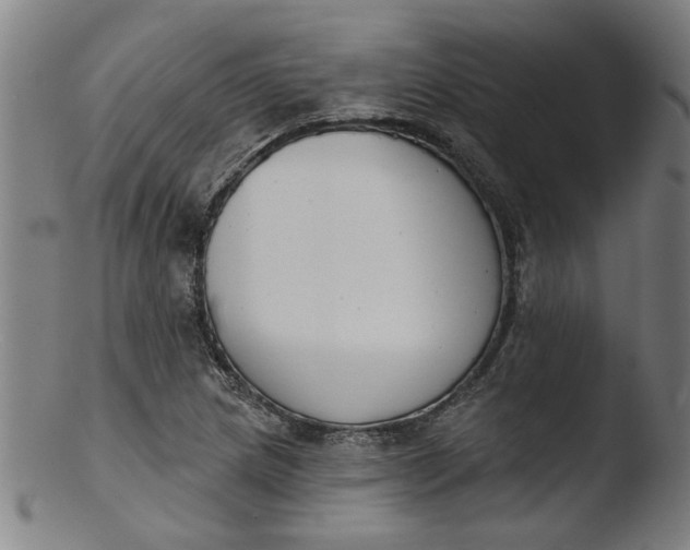 X0000103421217200809261659