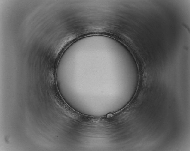 X0000103421218200809261659