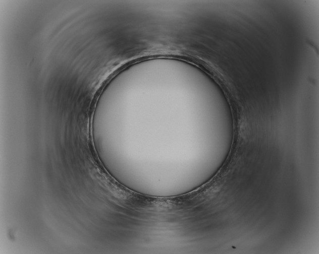 X0000103421220200809261659