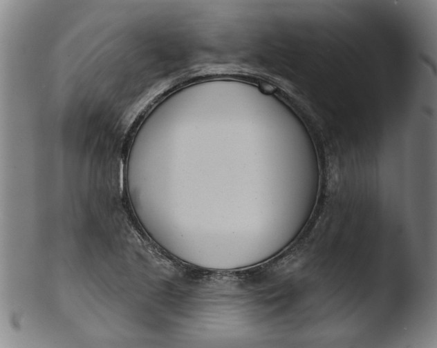 X0000103421221200809261659