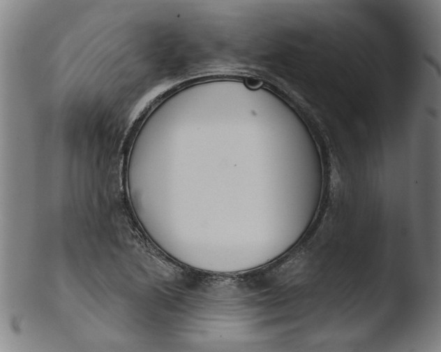 X0000103421222200809261659