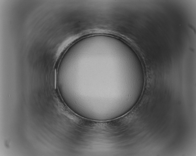 X0000103421223200809261659