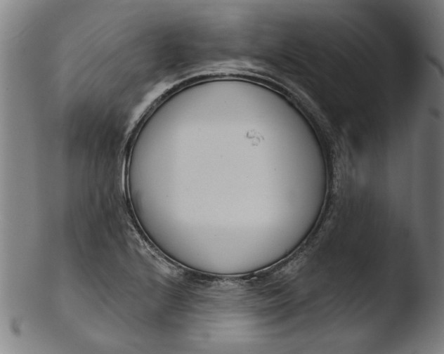 X0000103421224200809261659