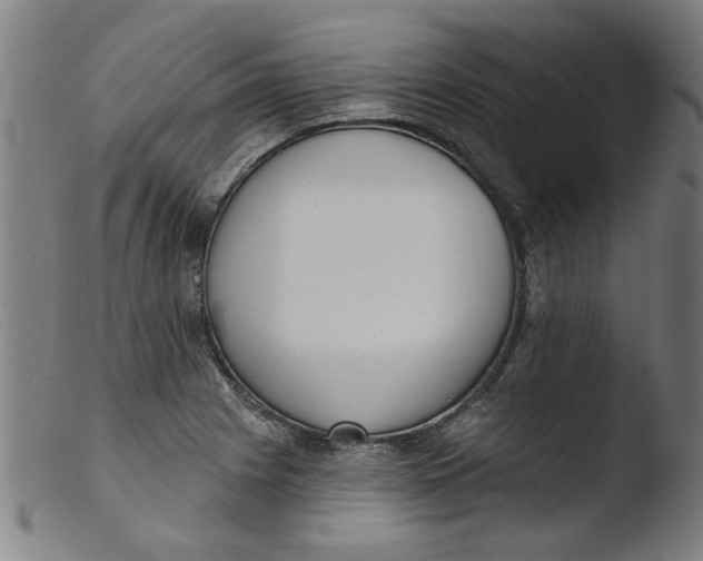 X0000103421225200809261659