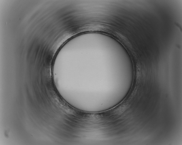 X0000103421226200809261659
