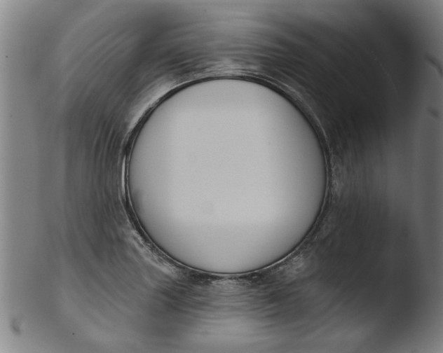 X0000103421227200809261659