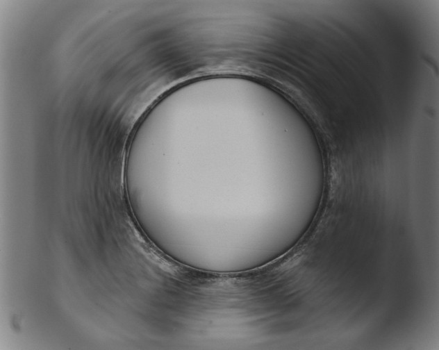 X0000103421228200809261659