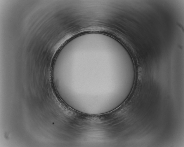 X0000103421229200809261659