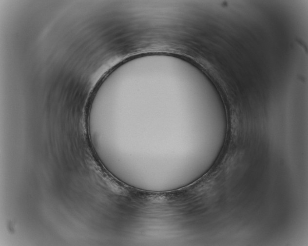 X0000103421230200809261659