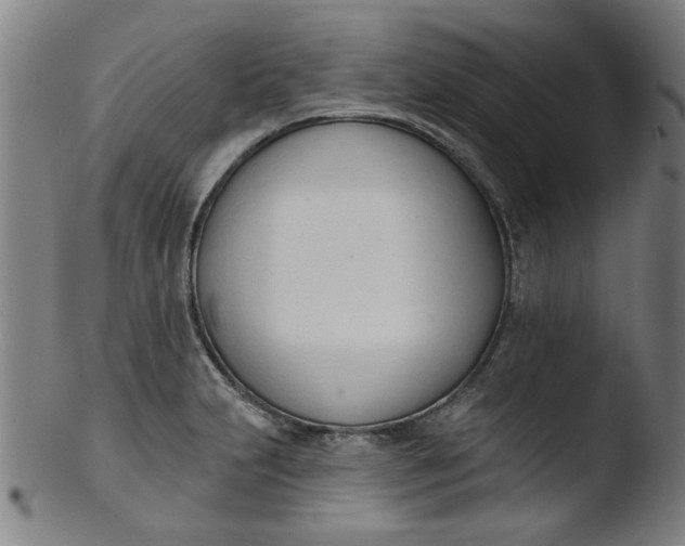 X0000103421231200809261659