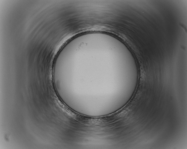 X0000103421232200809261659
