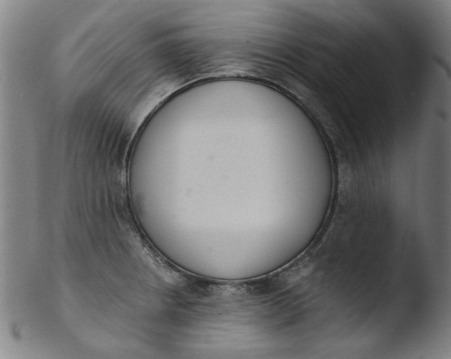 X0000103421234200809261659