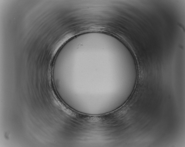 X0000103421235200809261659