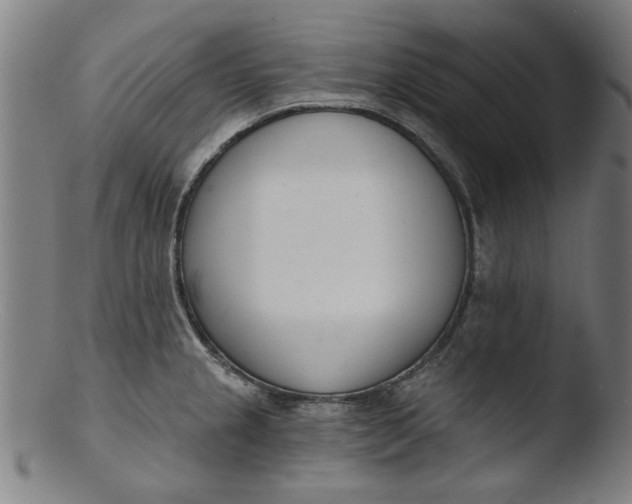 X0000103421237200809261659