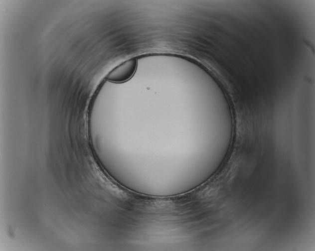 X0000103421238200809261659