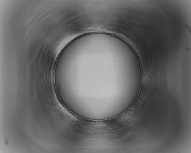 X0000103421239200809261659