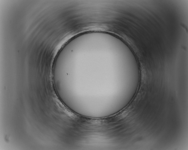 X0000103421240200809261659
