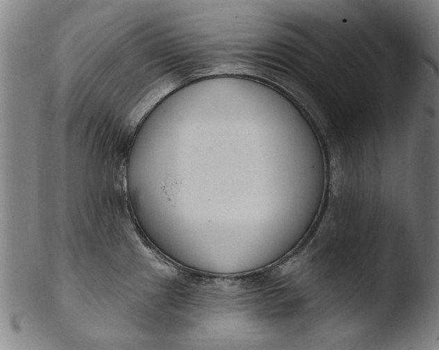 X0000103421241200809261659
