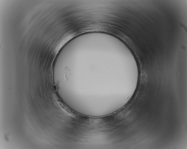 X0000103421242200809261659