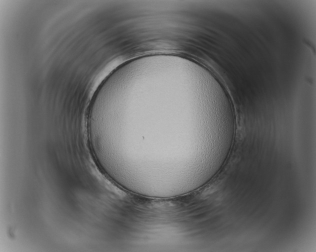 X0000103421243200809261659