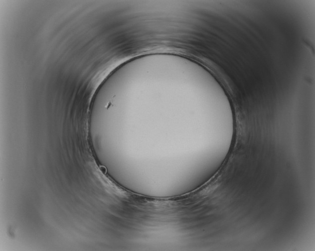 X0000103421244200809261659