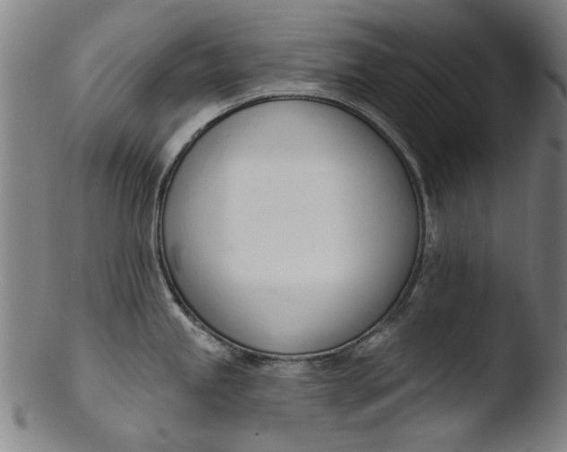 X0000103421245200809261659