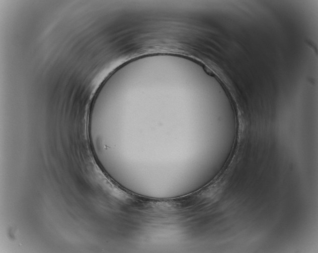 X0000103421246200809261659
